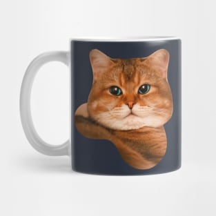 Brown tabby cat Mug